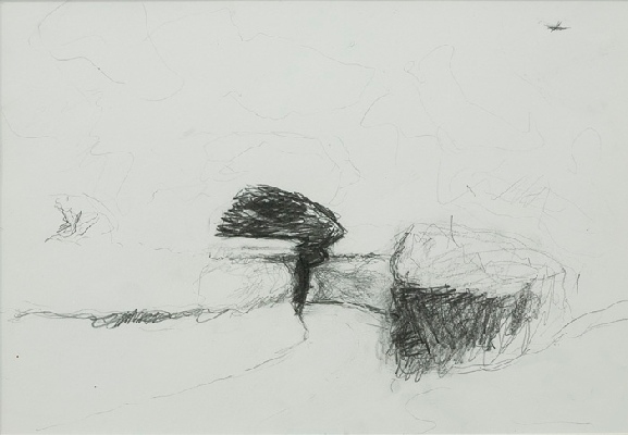 <em>Signal Tree 2007, pencil on paper, 29 x 19cm</em>