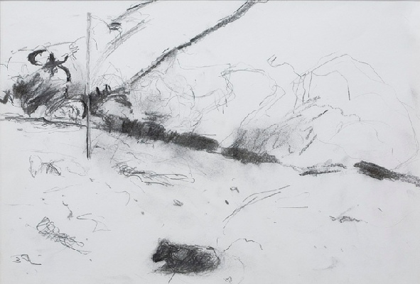 <em>Windy Day Black Calf 2007, pencil & charcoal, 29 x 9cm</em>