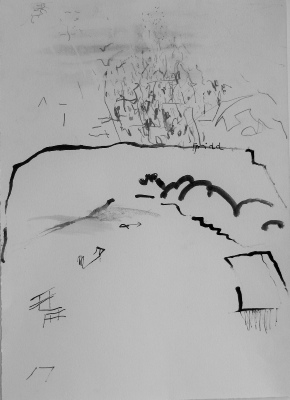 <em>Field 2014, ink and graphite on paper, 26 x 35cm</em>