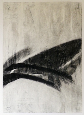 <em>Remains Charcoal 2014, charcoal on paper, 42 x 60cm</em>