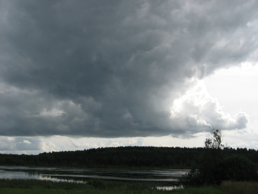 <em>2025-residency-immersed-in-landscape</em>