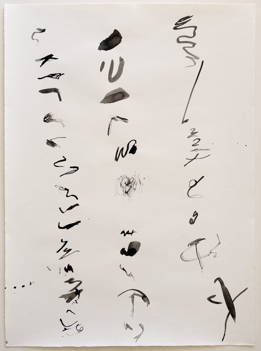 <em>Secret Language 2 - 2025, ink on paper, 73 x 53cm</em>